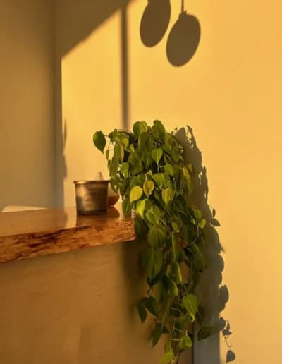 Reception area at The Beauty Concept