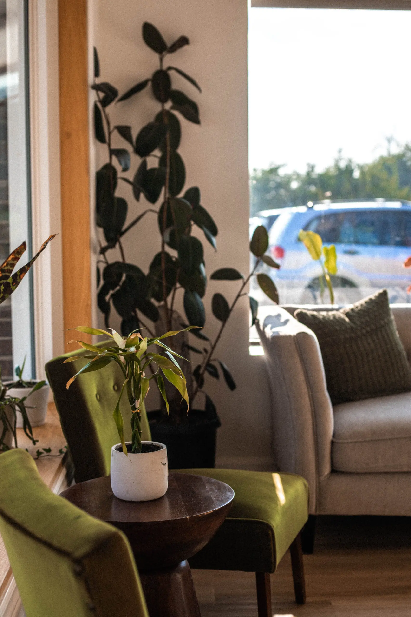 Cozy waiting area with green velvet chairs and natural light
