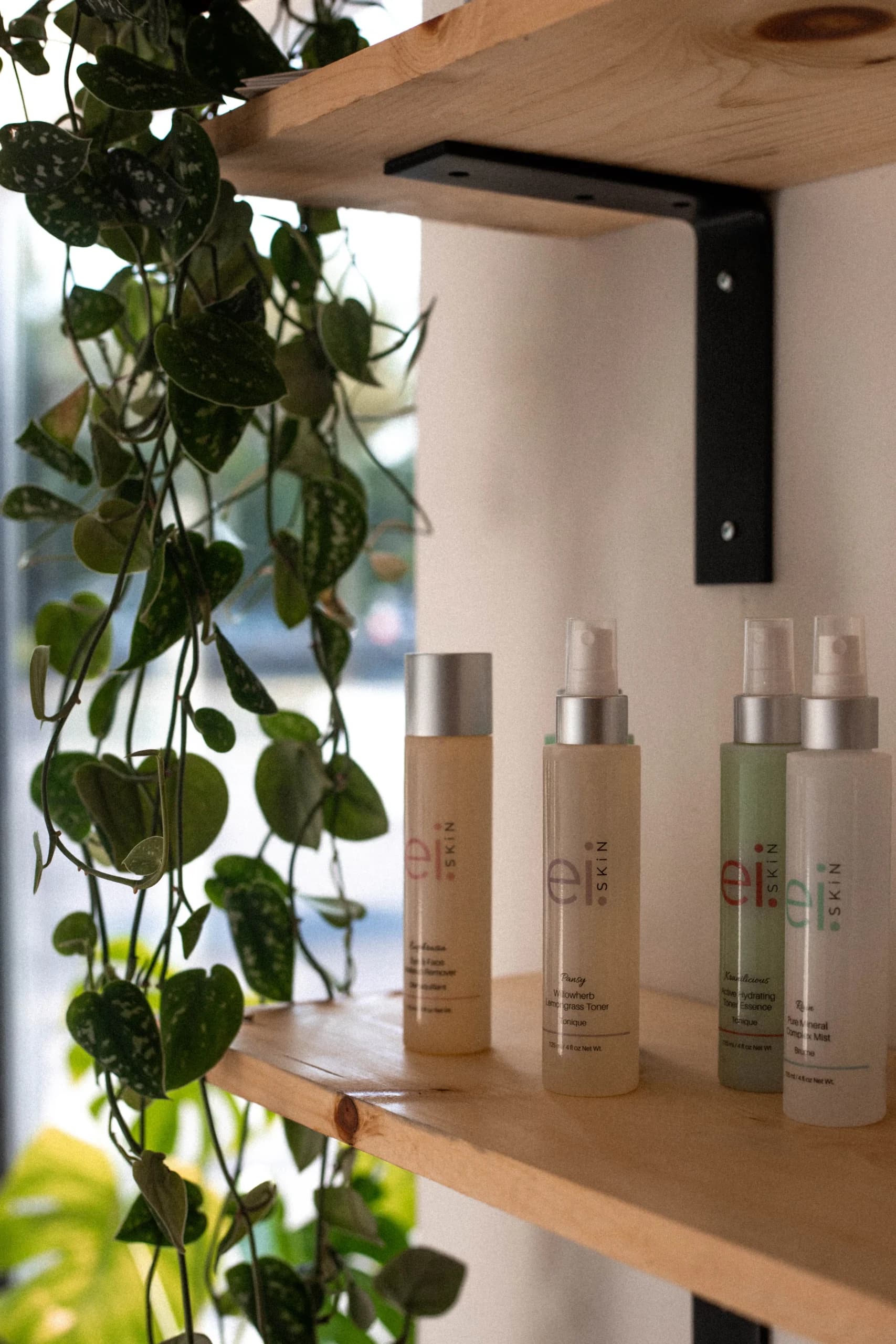 Skincare products displayed on a counter beside a hanging plant